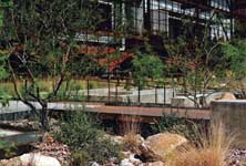 University of Arizona College